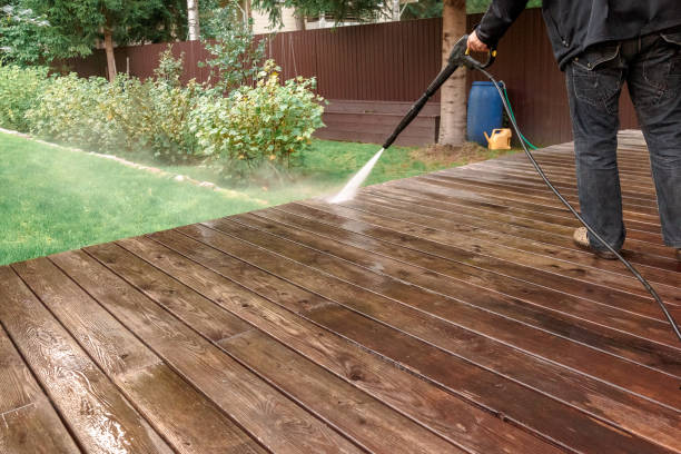 Best Soft Washing  in Hamilton City, CA